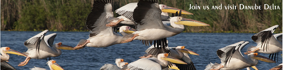 Visit Danube Delta WRW2018 Tulcea Romania