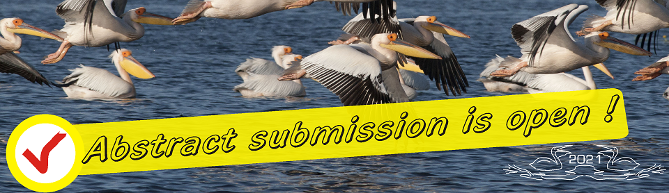 Water resources and wetlands 9-13 September 2020 Tulcea ROmania