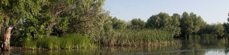 Water resources and wetlands 9-13 September 2020 Tulcea ROmania